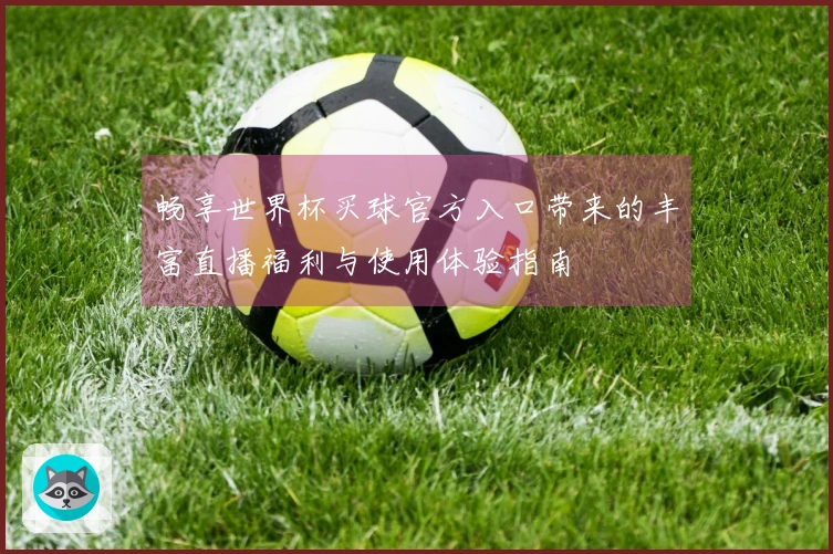 畅享世界杯买球官方入口带来的丰富直播福利与使用体验指南