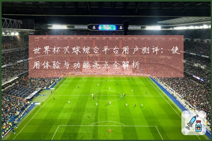 世界杯买球综合平台用户测评：使用体验与功能亮点全解析