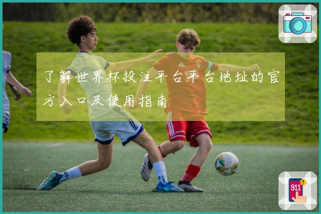 了解世界杯投注平台平台地址的官方入口及使用指南