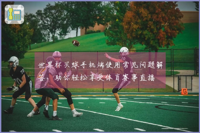 世界杯买球手机端使用常见问题解答，助你轻松享受体育赛事直播
