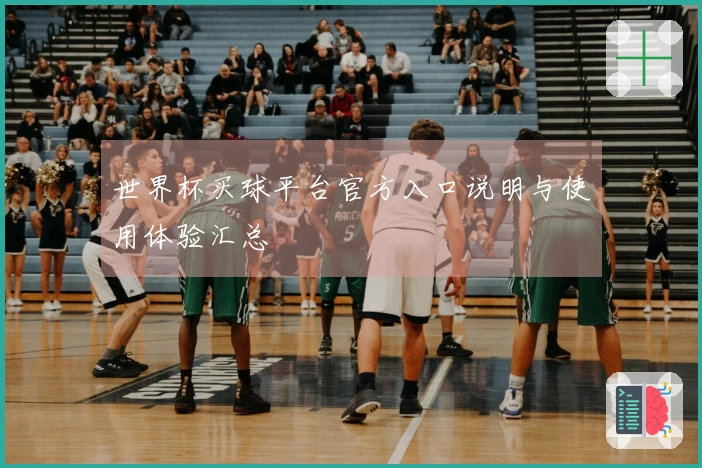 世界杯买球平台官方入口说明与使用体验汇总