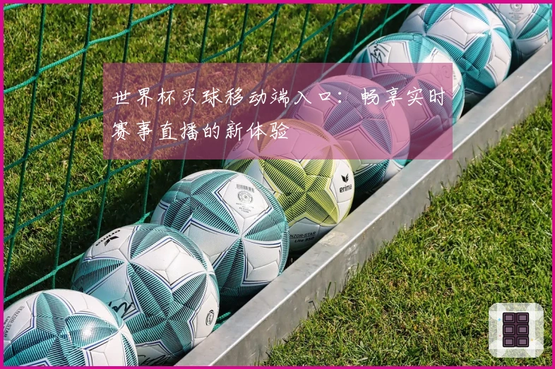 世界杯买球移动端入口：畅享实时赛事直播的新体验