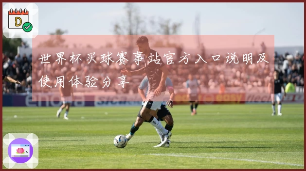 世界杯买球赛事站官方入口说明及使用体验分享