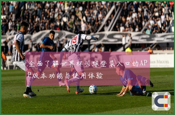 全面了解世界杯买球登录入口的APP版本功能与使用体验