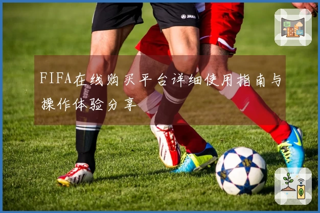 FIFA在线购买平台详细使用指南与操作体验分享