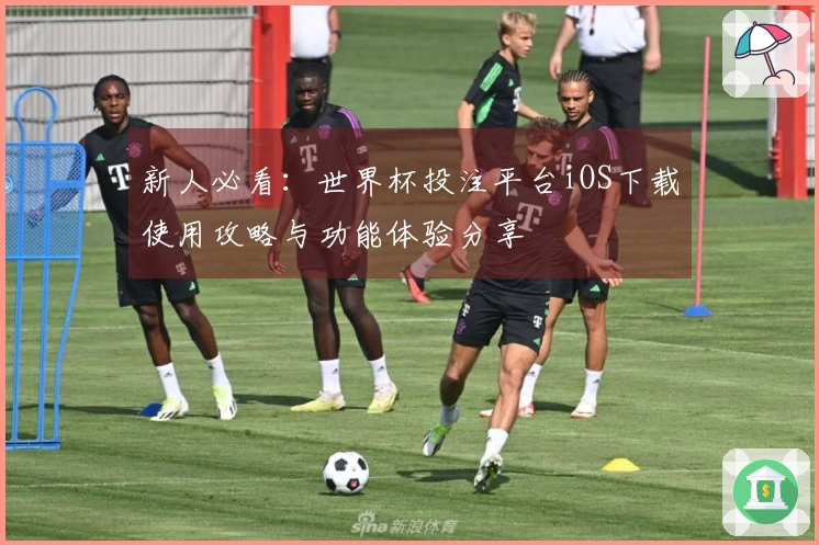 新人必看：世界杯投注平台iOS下载使用攻略与功能体验分享