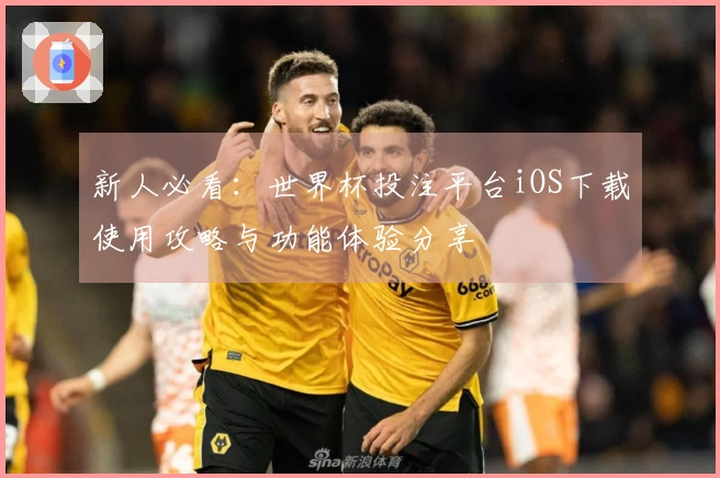 新人必看：世界杯投注平台iOS下载使用攻略与功能体验分享