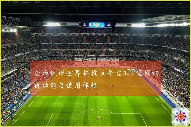 全面认识世界杯投注平台APP官网的新功能与使用体验