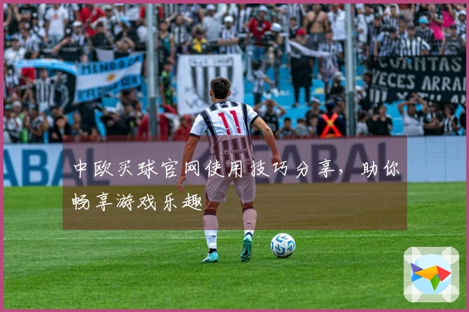 中欧买球官网使用技巧分享，助你畅享游戏乐趣