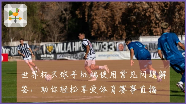 世界杯买球手机端使用常见问题解答，助你轻松享受体育赛事直播
